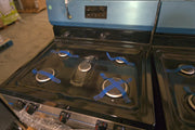 #1717 Liquidation Full Truckload of 82 Scratch and Dent Appliances in Texas